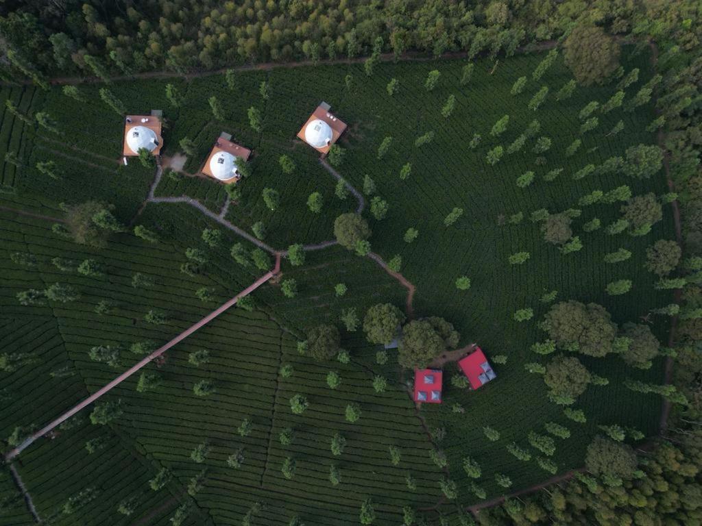 Vythiri Tea Valley I Best Hotel In Wayanad L Hotels In Vythiri Wayanad Exterior foto