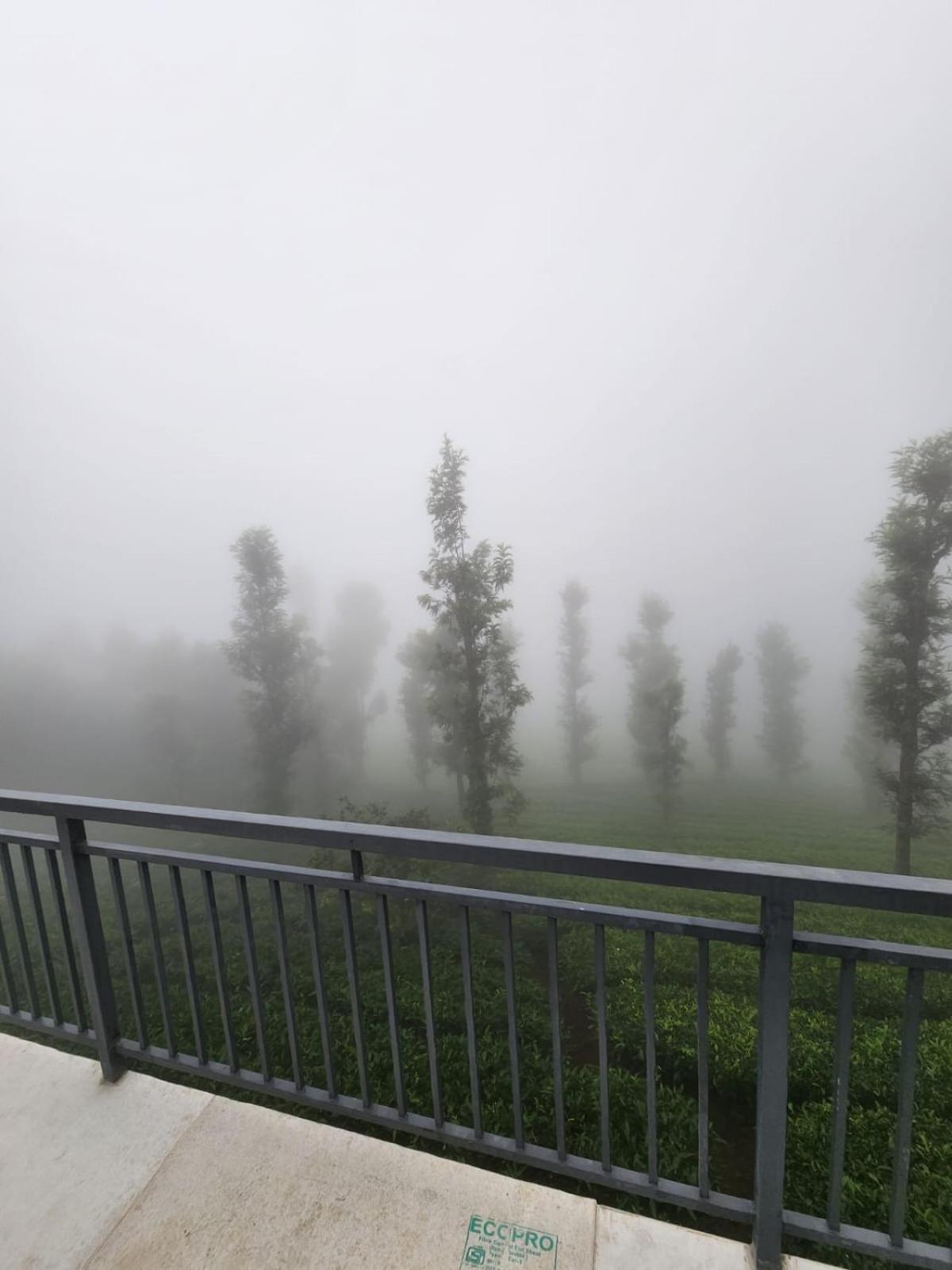 Vythiri Tea Valley I Best Hotel In Wayanad L Hotels In Vythiri Wayanad Exterior foto