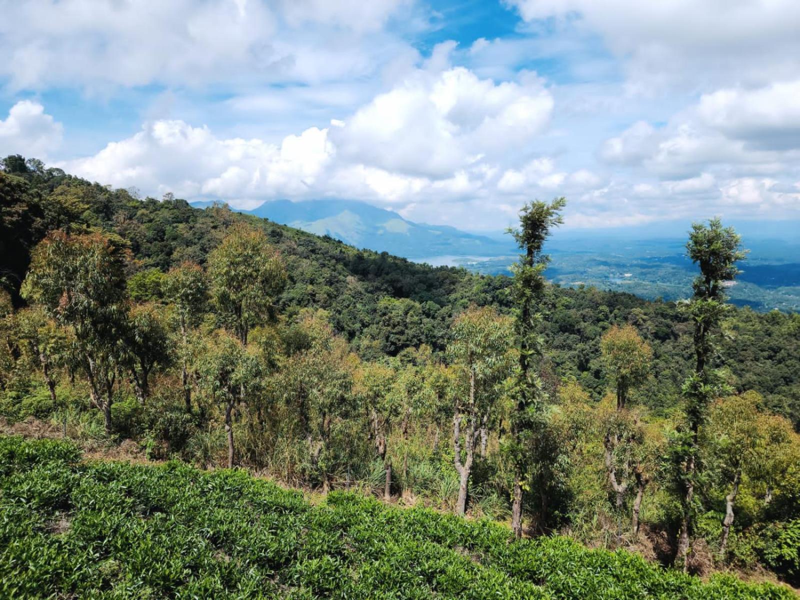 Vythiri Tea Valley I Best Hotel In Wayanad L Hotels In Vythiri Wayanad Exterior foto