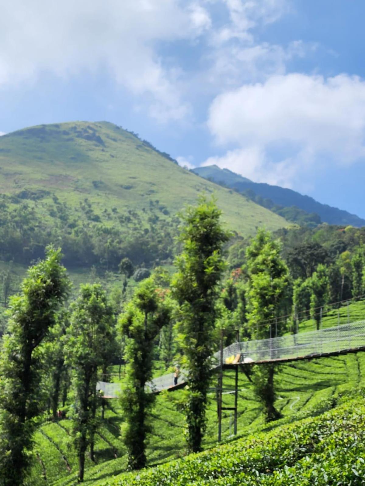 Vythiri Tea Valley I Best Hotel In Wayanad L Hotels In Vythiri Wayanad Exterior foto